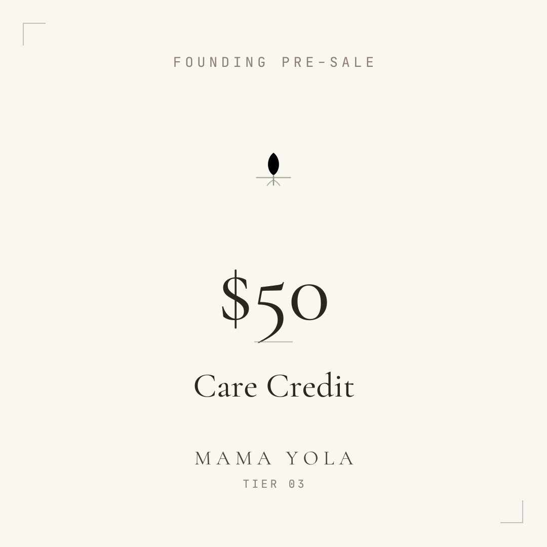 Founding Support — $50 · Care Credit