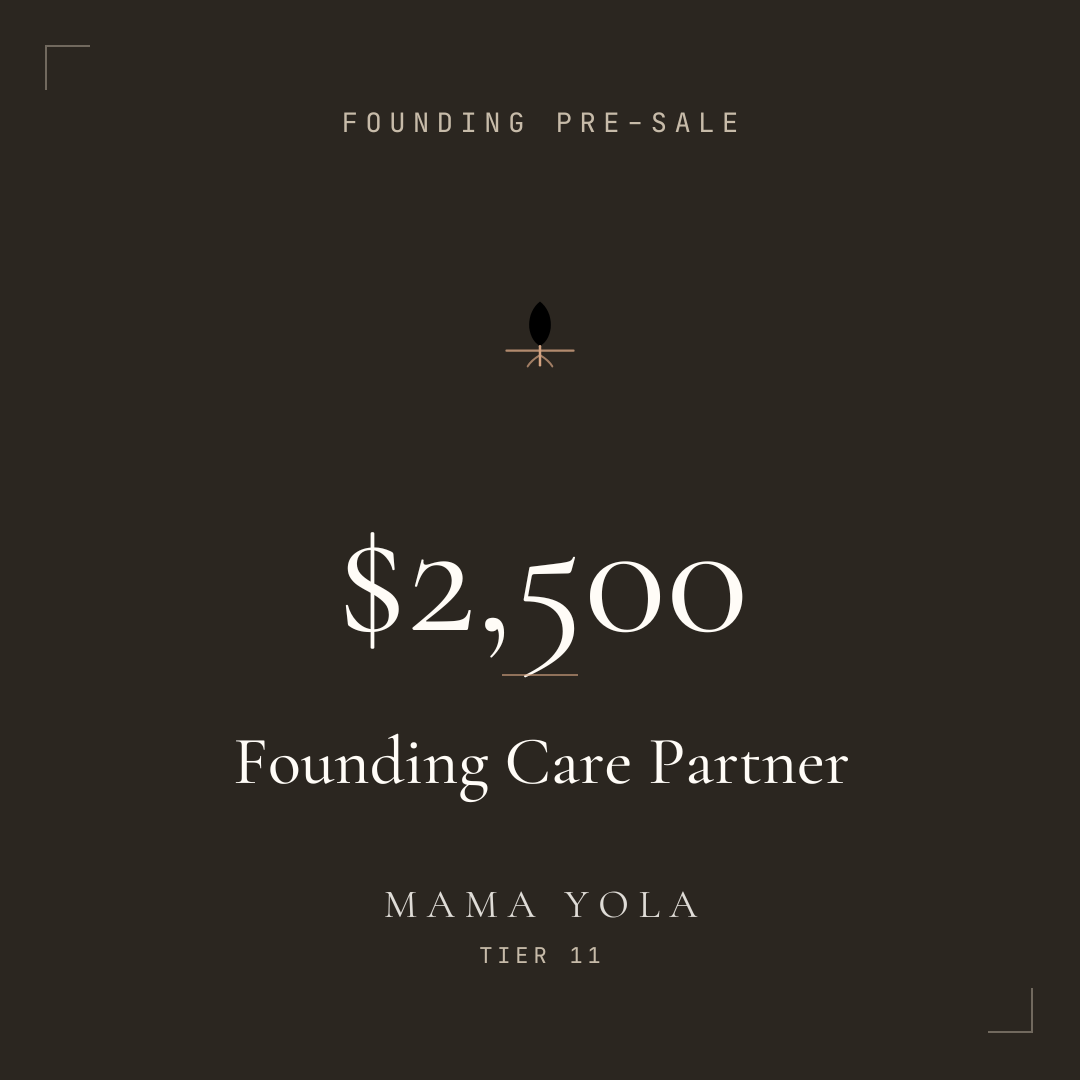 Pre-Sale Bundle — $2,500 · Founding Care Partner